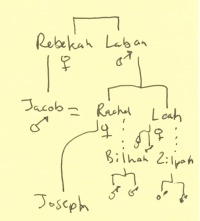 Jacob, Rachel and Leah: family tree